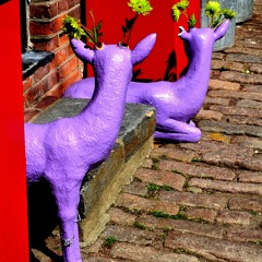 IKAGURA- God has a lighter