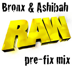 Bronx & Ashibah RAW 2013 Pre-fix mix