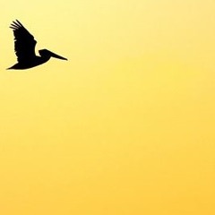 Lidewij - Sunny Mixtape