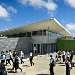 HAMO BOIIZ -POLILUA .MP3