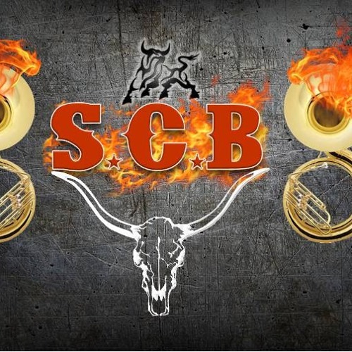 Banda Furia Latina --Chilito Piquin --S.C.B--