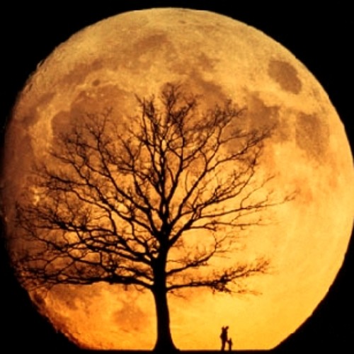 Acid Space, Earbug vs Rodrigo Prado - Moon Effect