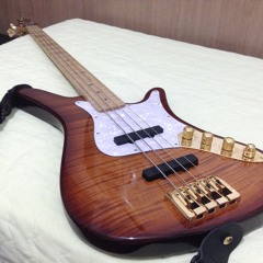 Wonderful Slippery Thing - Bass Cover