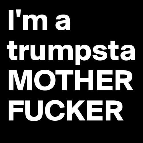 Trumpsta Fighter (That Furking Dj Mashup )