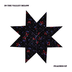 In The Valley Below - "Neverminders"