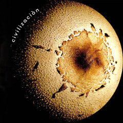 Los Piojos - Pacifico