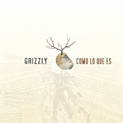 Grizzly -  Estoy Apunto (Bronco Cover)