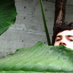 Always (Acustica @Radionica)