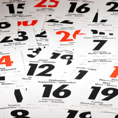 I Need An Extra Day (Paddock Day)