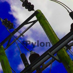 Pylon (for the forthcoming Pylon project on dhatūrā records)