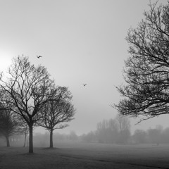 Winter Chills for Batida radioshow  (09-03-2013)