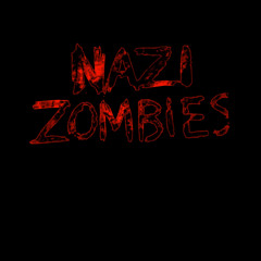 Call of Duty:Black Ops Nazi Zombies Damned Kevin Sherwood