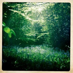 Cold Rain (Live Acoustic)