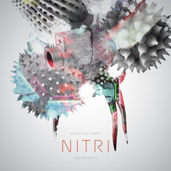 Nitri feat Grimm - Secrets (DLR Remix) [HZN070C]