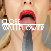 Close - Wallflower Ft. Fink (Huxley Remix)