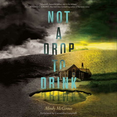 NOT A DROP TO DRINK by Mindy McGinnis