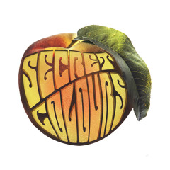 Psychedelic Rock