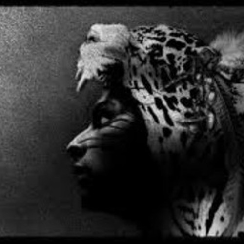 DJ Rolando a.k.a. Aztec Mystic ‎– Jaguar (Dj Mike Goldfinch freestyle break remix)