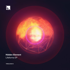 Hidden Element & Liquid Break - Watсh Me [TRNSLDIGI019]