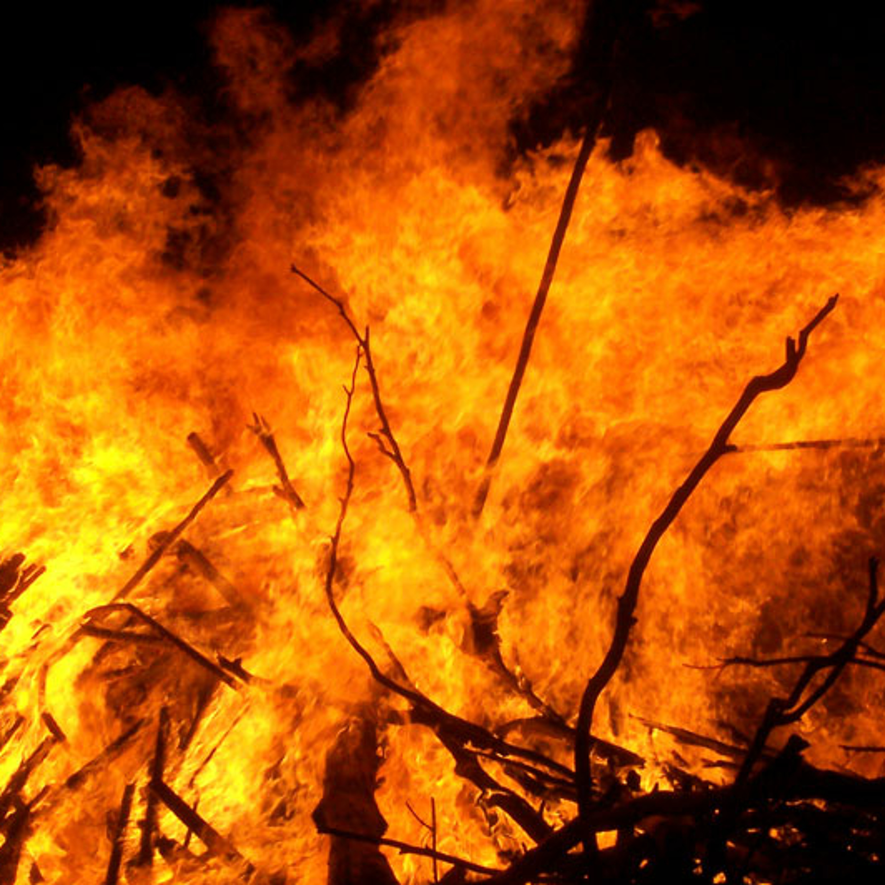 Forensics in Flames by Michael May episode artwork