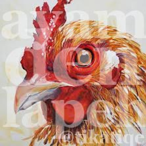 Ayam Den Lapeh Cover By Tikatiqe Ayam Den Lapeh Cover By Tikatiqe