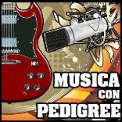 Equilibrio Vital, en Vivo acoustic session en Musica con Pedigree