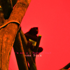 Fashion Coat  DMo Advnc