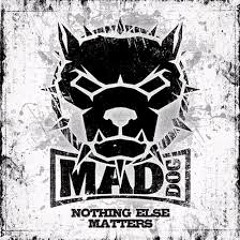 Mad Dog & The Stunned Guys - Nothing Else Matters