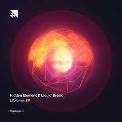 Hidden Element & Liquid Break - We Have Our Own Atmosphere (W.H.O.O.A.) (Out Now)