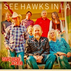 Rock N Roll Cymbal From The Seventies by I See Hawks In LA