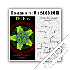Bekracid_@_ Trip17_Mads_and_Psybarths_B_Day 2013_08_24
