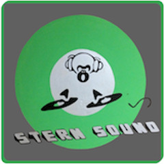 Tiësto - Take Me FT. Kyler England (SternSound Remix)