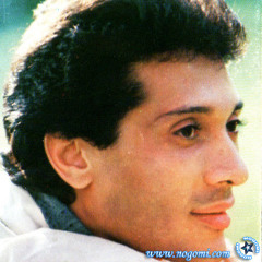 علي الحجار