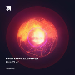 Hidden Element & Liquid Break - Watch Me [TRNSLDIGI019]