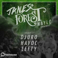 Naylo - Janes Forest (Djuro Remix) [PHETHOUSE RECORDS] Out September 24th