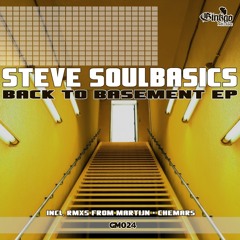 Steve SoulBasics - Back Up