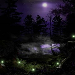 Dibold - Voices from the forest