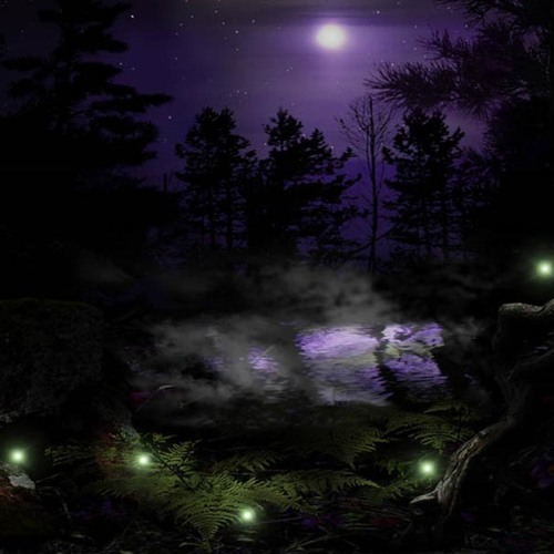 Dibold - Voices from the forest