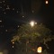 Cahaya Bulan (cover) - Ost.Gie