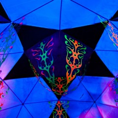 Soul Tribe @ Freedom Festival 2013 (DJ Set Part II. ) - Chill Dhome