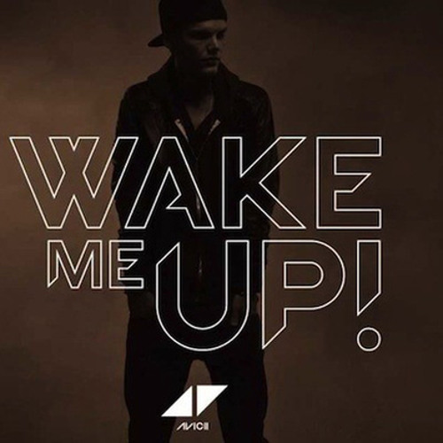 Avicii - Wake Me Up (Pitrrs Electro Remix 2k13) *FREE DOWNLOAD*
