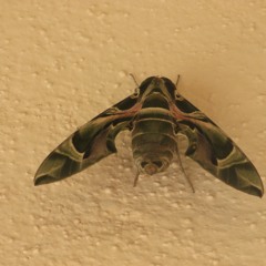 mayangi poyi njan mayangi poyi