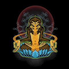 Psychedelic Dub Chillout