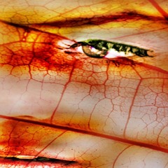 rock well my house - digitalitar