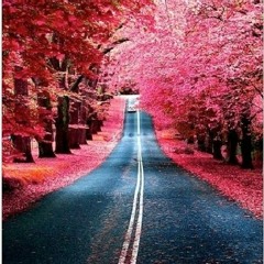 اخر زفير - كاشاريل