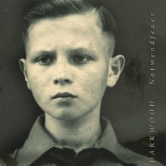 Darkwood - Lied am Feuer