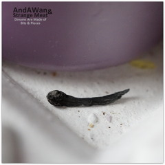 Dreams Are Made of Bits & Pieces (Strange Meat/AndAWan collaboration)