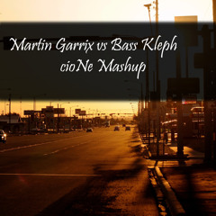 Martin Garrix vs Bass Kleph - Less Animals Is More (cioNe Mashup)