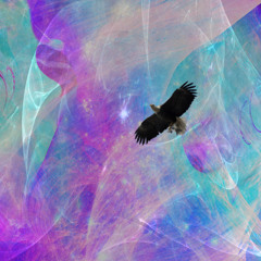 ADHDJ's "Transformation 2013" Mix