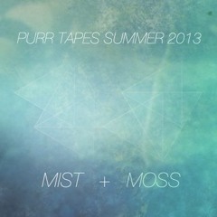 HooDiEs (Purr Tapes summer comp. 2013)